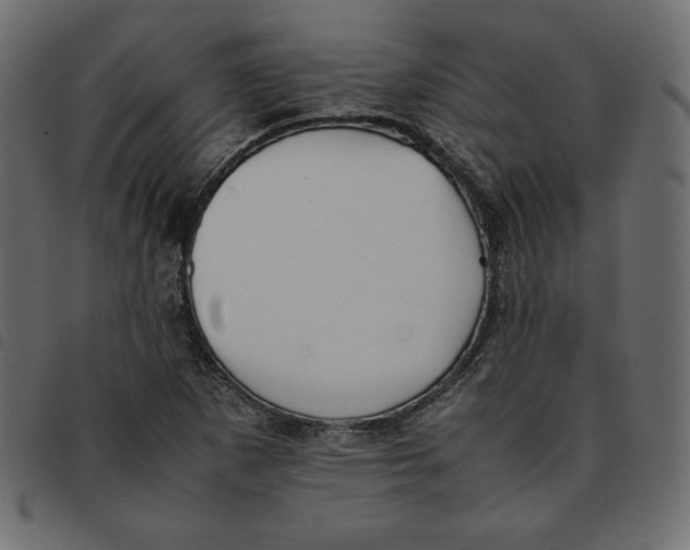 X0000092251265200710121251