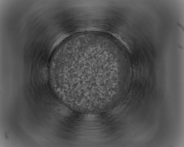 X0000092251266200710121251