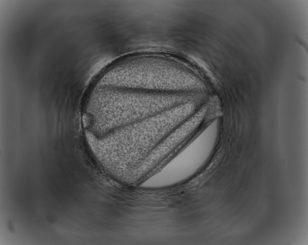 X0000092251267200710121251
