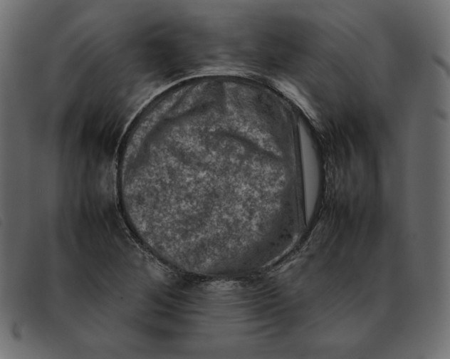X0000092251268200710121251
