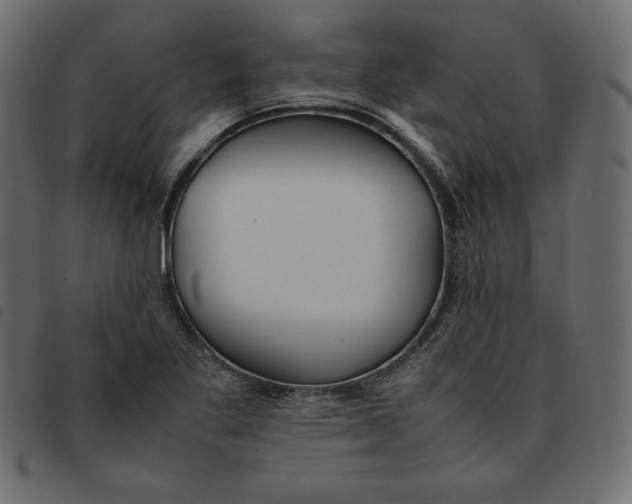X0000092251269200710121251
