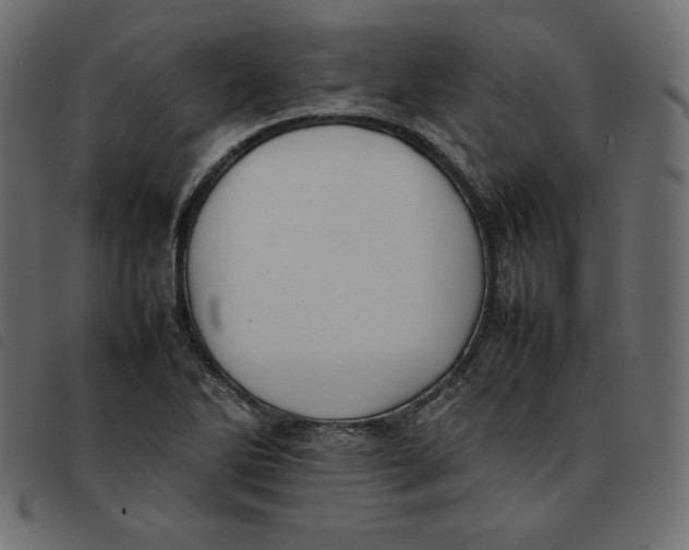 X0000092251270200710121251