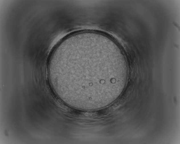 X0000092251271200710121251