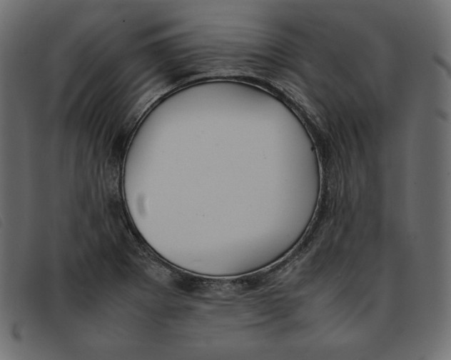 X0000092251273200710121251