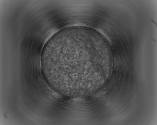 X0000092251274200710121251