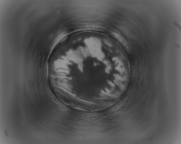 X0000092251275200710121251