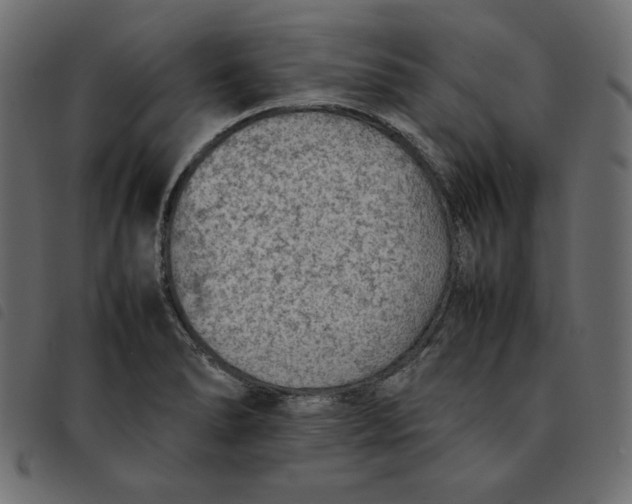 X0000092251278200710121251