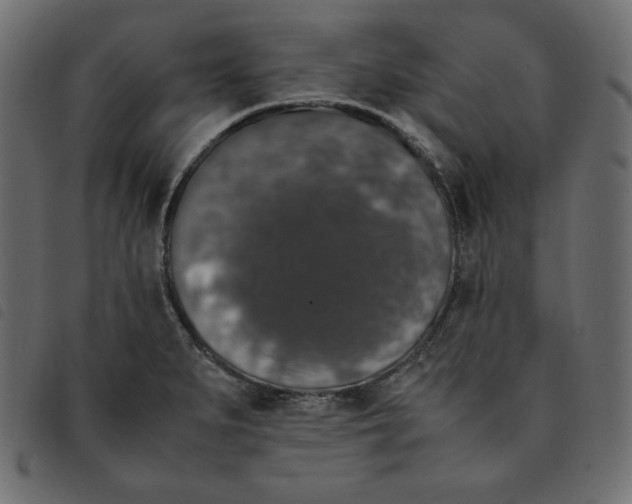 X0000092251279200710121251