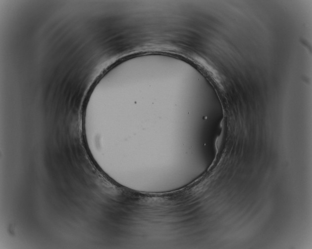 X0000092251280200710121251