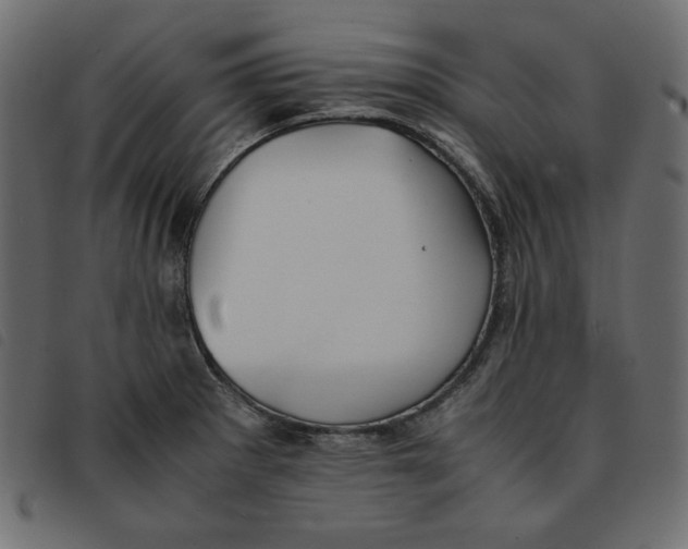 X0000092251281200710121251