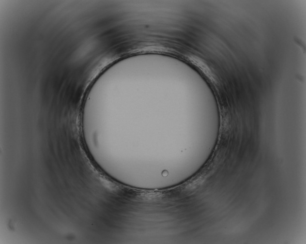 X0000092251282200710121251