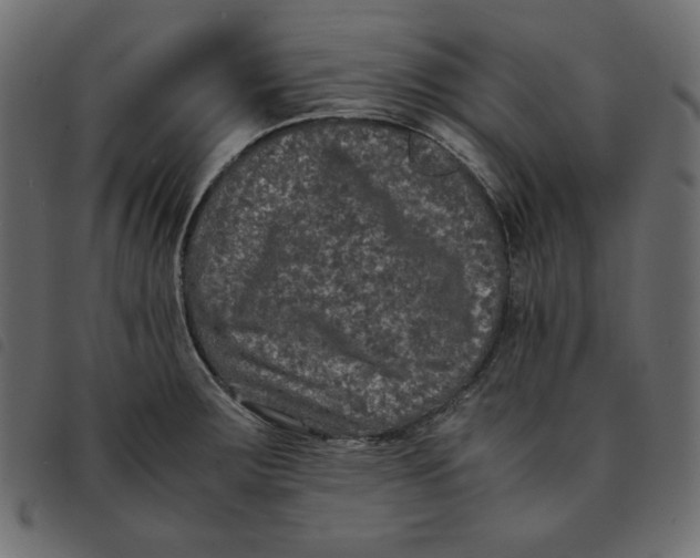 X0000092251283200710121251