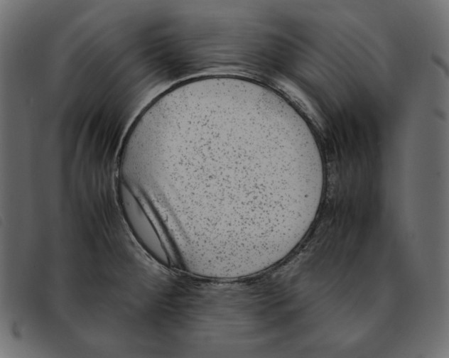 X0000092251284200710121251