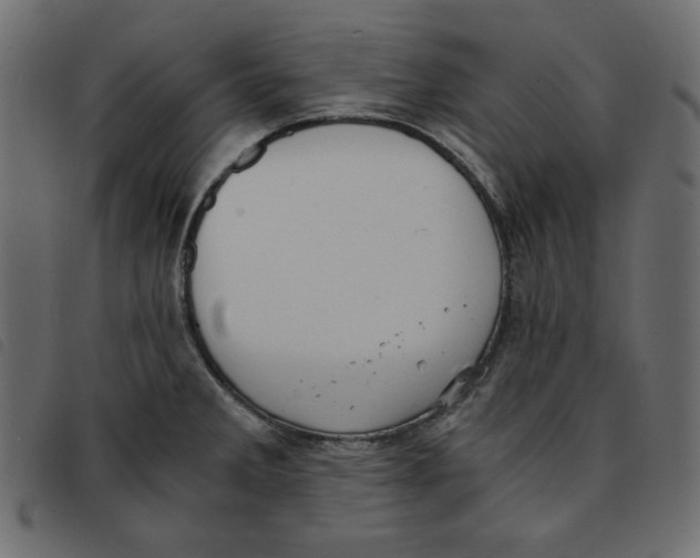 X0000092251285200710121251