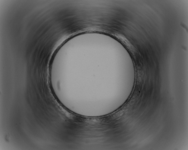 X0000092251286200710121251