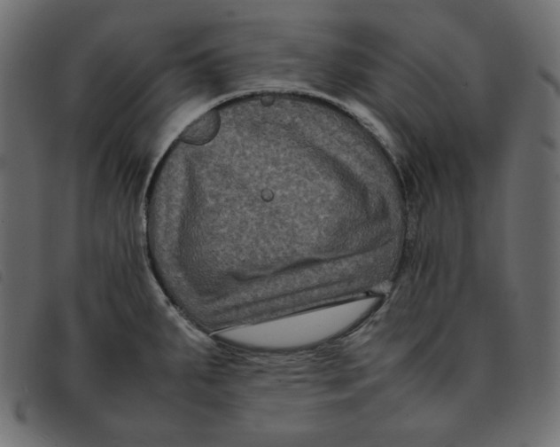 X0000092251287200710121251