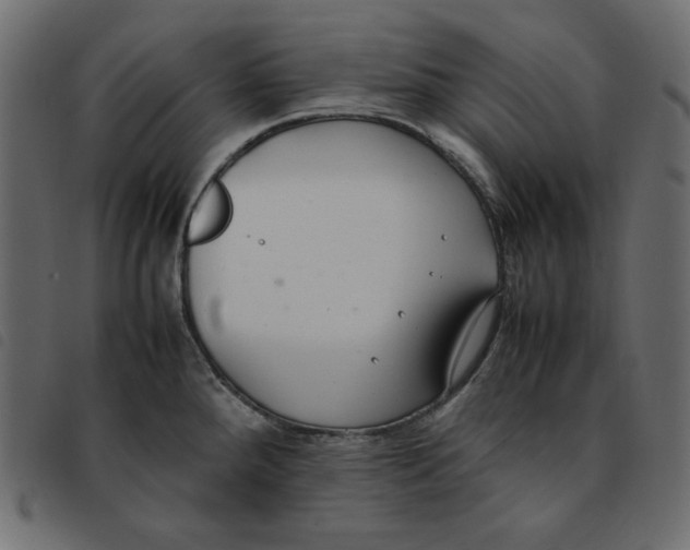 X0000092251288200710121251