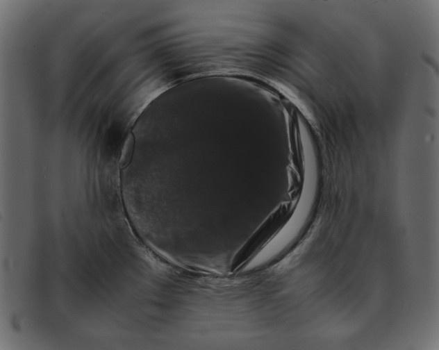 X0000092251289200710121251