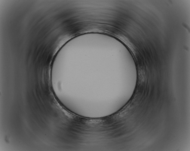 X0000092251290200710121251