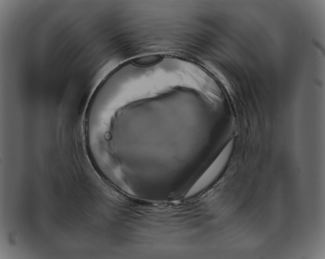 X0000092251291200710121251