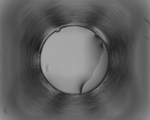 X0000092251292200710121251