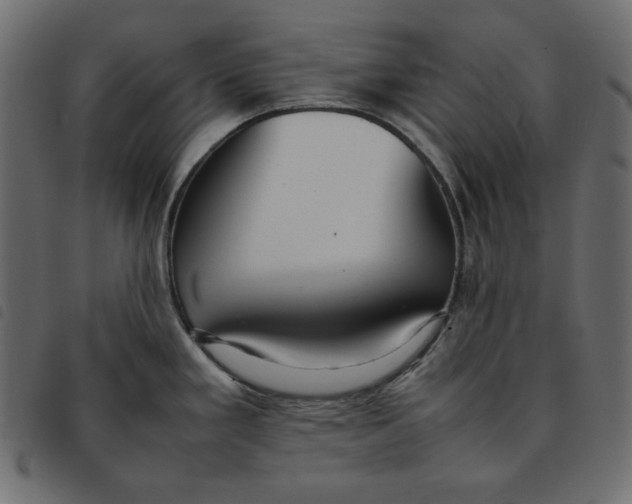 X0000092251293200710121251