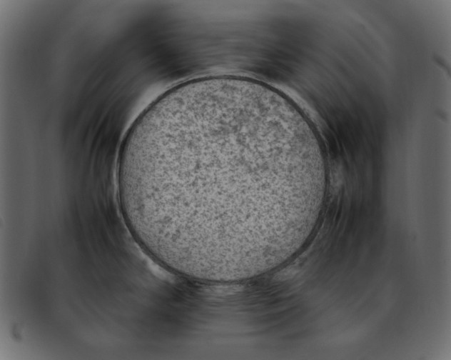X0000092251294200710121251