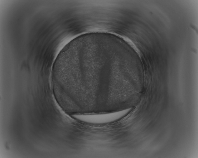 X0000092251295200710121251