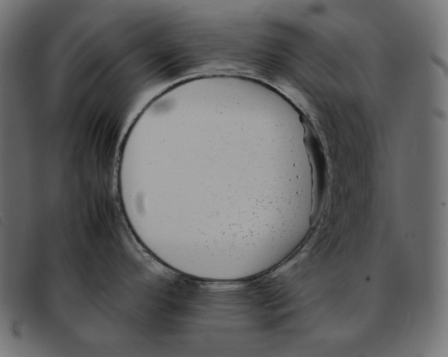X0000092251296200710121251