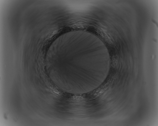 X0000092251297200710121250