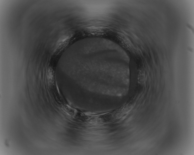 X0000092251298200710121250