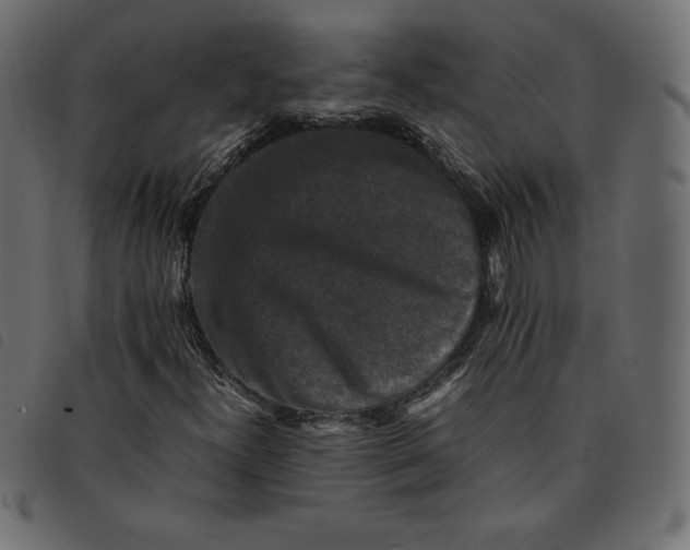 X0000092251300200710121250