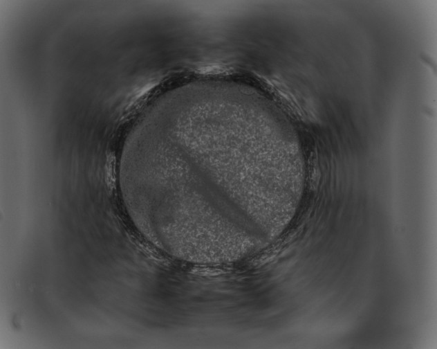 X0000092251301200710121250