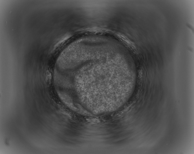 X0000092251302200710121250