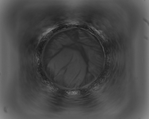 X0000092251303200710121250