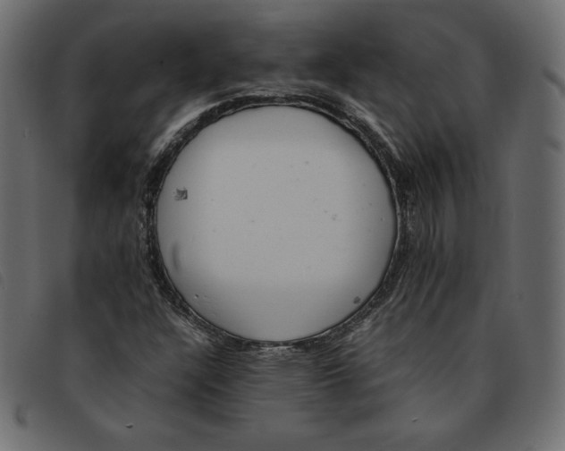 X0000092251304200710121250
