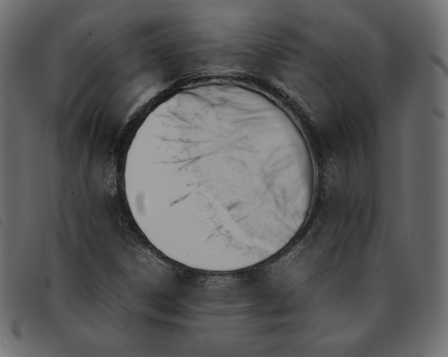 X0000092251306200710121250