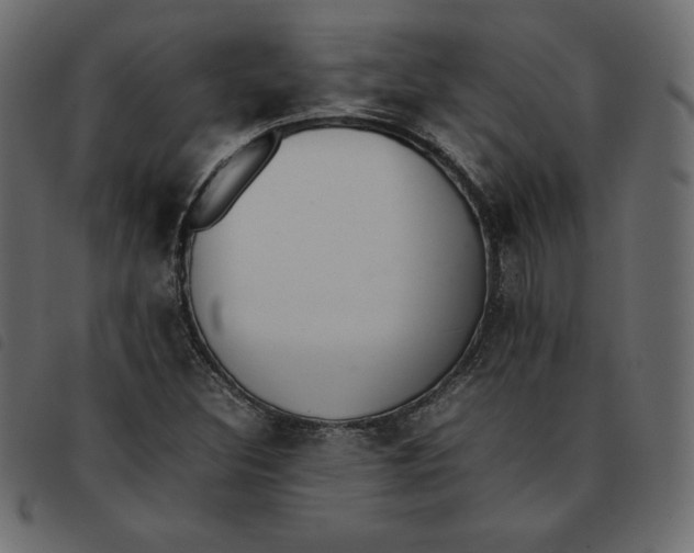 X0000092251308200710121250