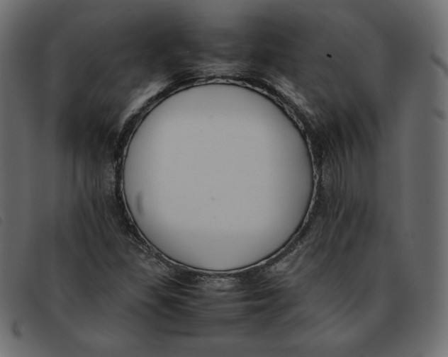 X0000092251309200710121250