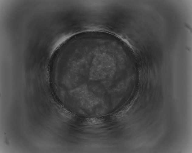 X0000092251311200710121251