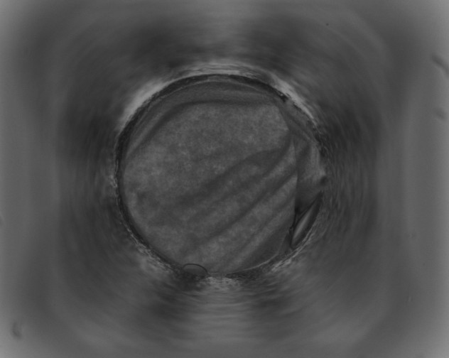 X0000092251312200710121251