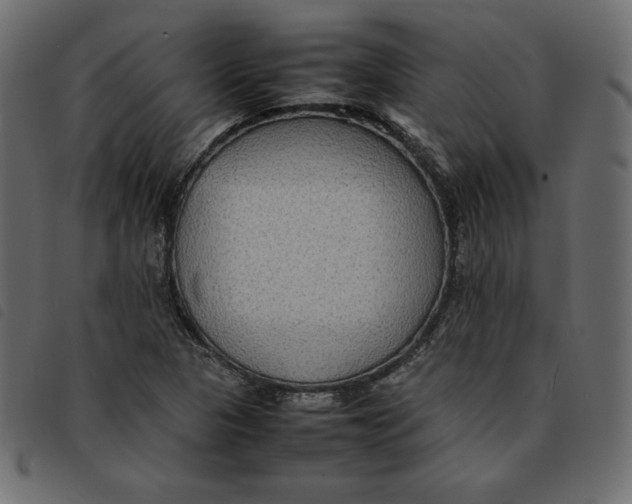 X0000092251313200710121251