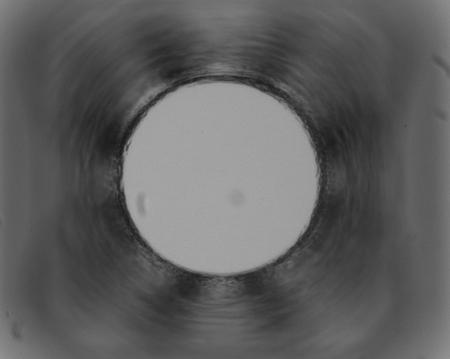 X0000092251314200710121251