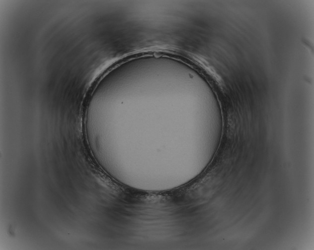 X0000092251316200710121251