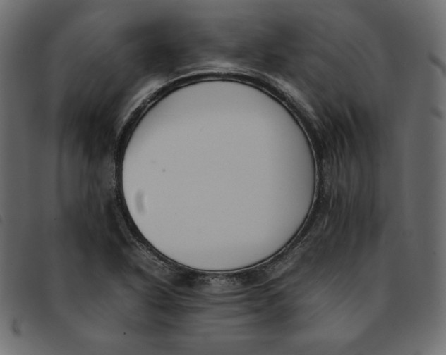 X0000092251318200710121251