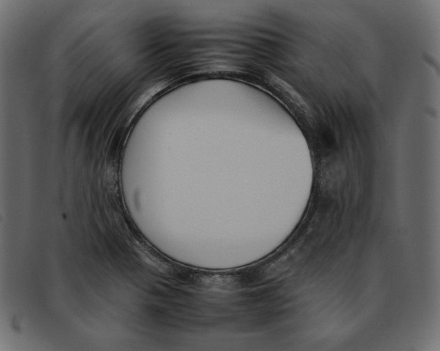 X0000092251321200710121251