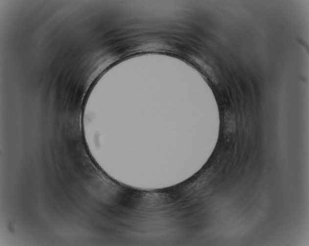 X0000092251322200710121251