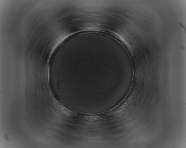 X0000092251323200710121251