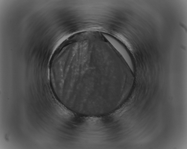 X0000092251324200710121251
