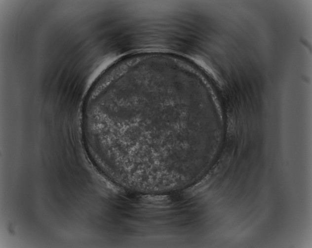 X0000092251325200710121251